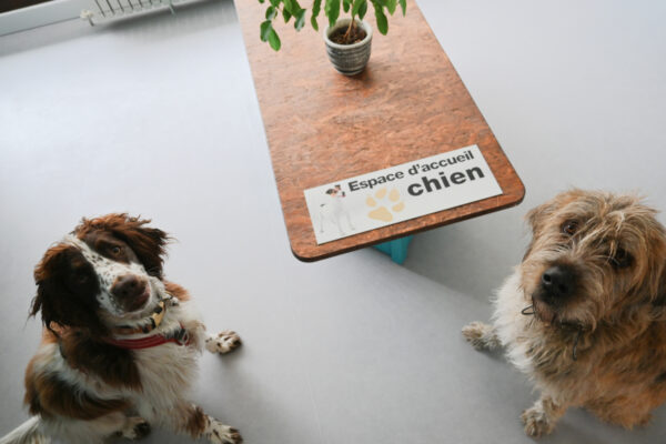 clinique-veterinaire-chambery-saint-jeoire-prieure-accueil-4 clinique-veterinaire-chambery-saint-jeoire-prieure-accueil-4