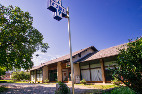 clinique-veterinaire-chambery-saint-jeoire-prieure-accueil clinique-veterinaire-chambery-saint-jeoire-prieure-accueil